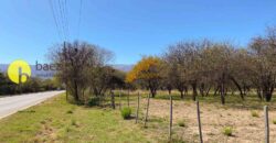 1 HECTÁREA SOBRE RUTA Nº28