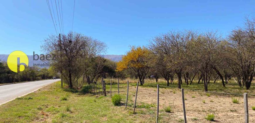 1 HECTÁREA SOBRE RUTA Nº28