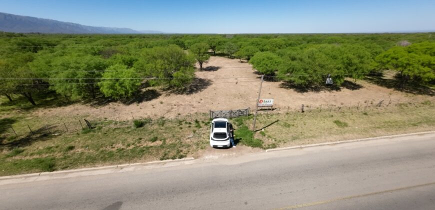 1 HECTÁREA SOBRE RUTA Nº28