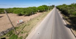 1 HECTÁREA SOBRE RUTA Nº28