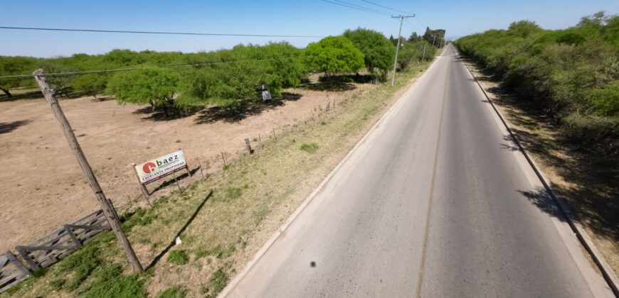 1 HECTÁREA SOBRE RUTA Nº28