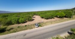 1 HECTÁREA SOBRE RUTA Nº28