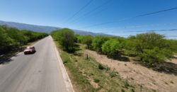 1 HECTÁREA SOBRE RUTA Nº28