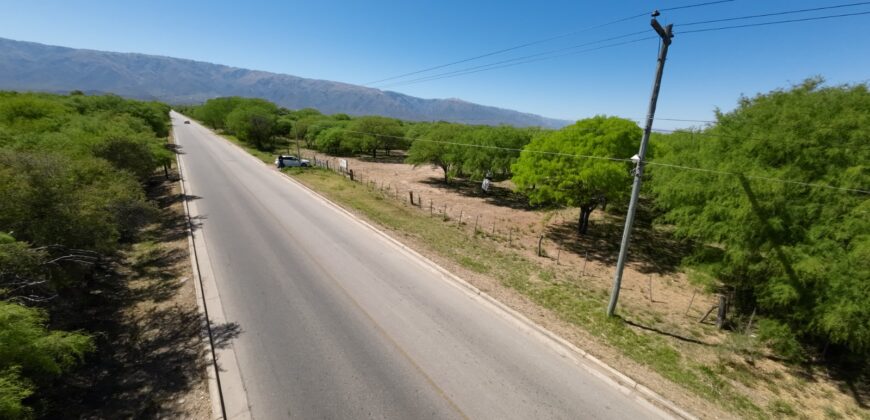 1 HECTÁREA SOBRE RUTA Nº28