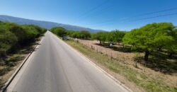 1 HECTÁREA SOBRE RUTA Nº28