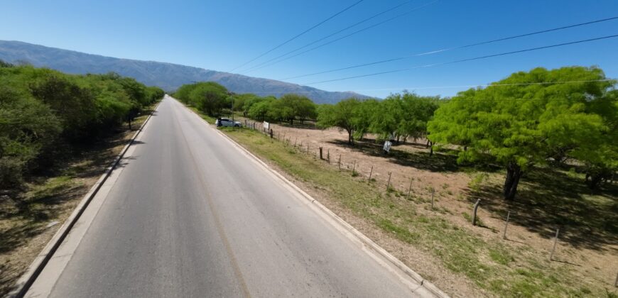 1 HECTÁREA SOBRE RUTA Nº28