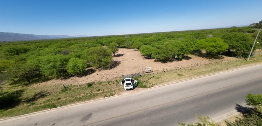 1 HECTÁREA SOBRE RUTA Nº28