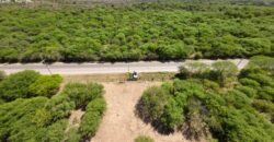 1 HECTÁREA SOBRE RUTA Nº28
