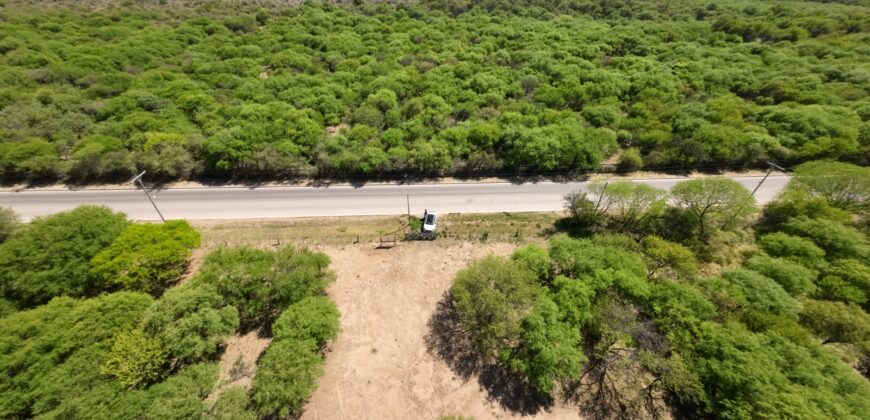 1 HECTÁREA SOBRE RUTA Nº28