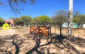 LOTE LIMPIO Y ALAMBRADO