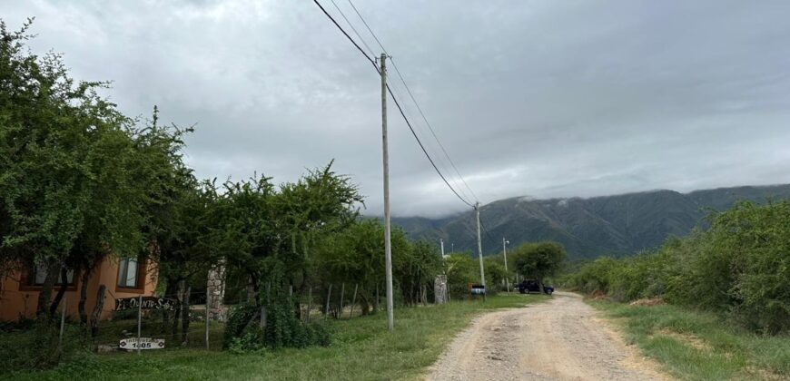 LOTE DE 1.723M2 CARPINTERIA