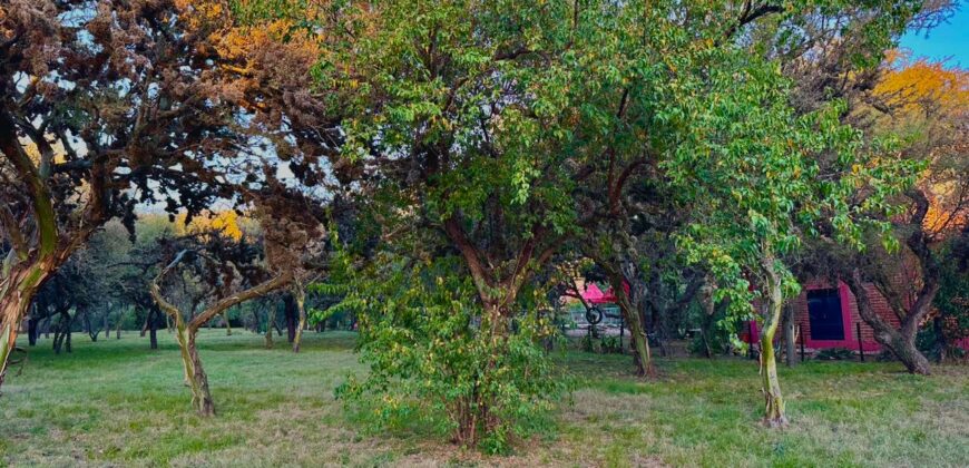 AMPLIO LOTE EN ALTOS DE CARPINTERIA