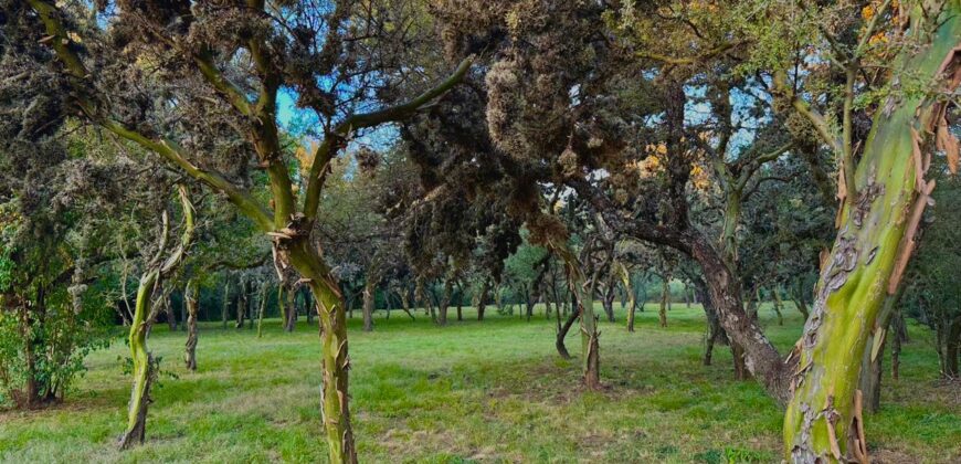 AMPLIO LOTE EN ALTOS DE CARPINTERIA