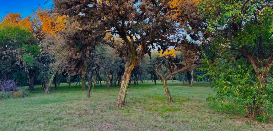 AMPLIO LOTE EN ALTOS DE CARPINTERIA