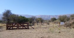 LOTE EN LAS MORERAS