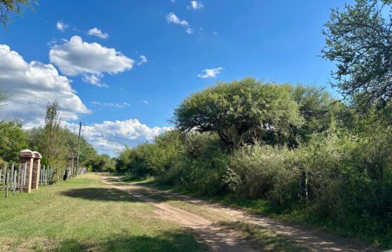 LOTE AMPLIO EN ALTOS DE CARPINTERIA