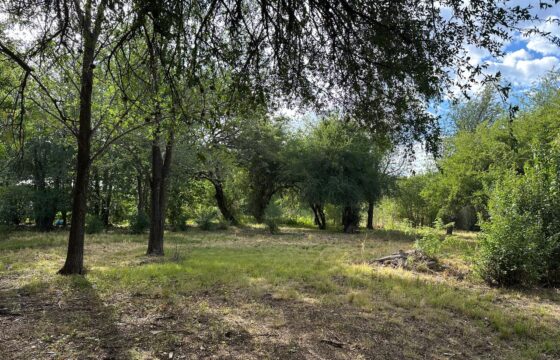 LOTE CENTRICO EN CARPINTERIA
