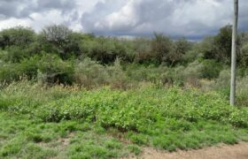 AMPLIO LOTE EN LOS COCOS