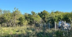 LOTE DE 1.000M² EN TIERRA MIA