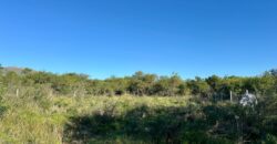LOTE DE 1.000M² EN TIERRA MIA