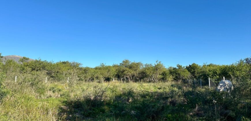LOTE DE 1.000M² EN TIERRA MIA