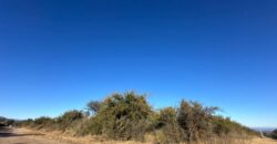 LOTES DE 2.500M² EN ALTOS DE CARPINTERIA