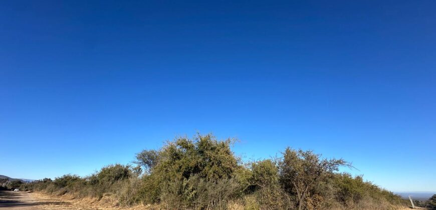 LOTES DE 2.500M² EN ALTOS DE CARPINTERIA