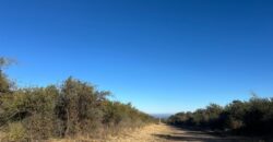 LOTES DE 2.500M² EN ALTOS DE CARPINTERIA