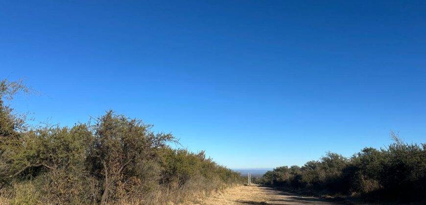 LOTES DE 2.500M² EN ALTOS DE CARPINTERIA