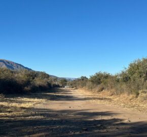LOTES DE 2.500M² EN ALTOS DE CARPINTERIA