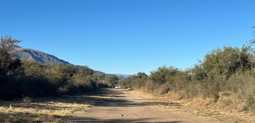 LOTES DE 2.500M² EN ALTOS DE CARPINTERIA