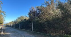 LOTES DE 2.500M² EN ALTOS DE CARPINTERIA