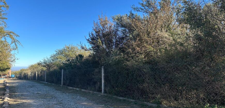 LOTES DE 2.500M² EN ALTOS DE CARPINTERIA