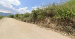 1 HA. EN ESQUINA SOBRE RUTA 1