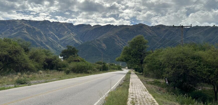 AMPLIO LOTE EN AV. LOS MANDARINOS