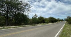 AMPLIO LOTE EN AV. LOS MANDARINOS