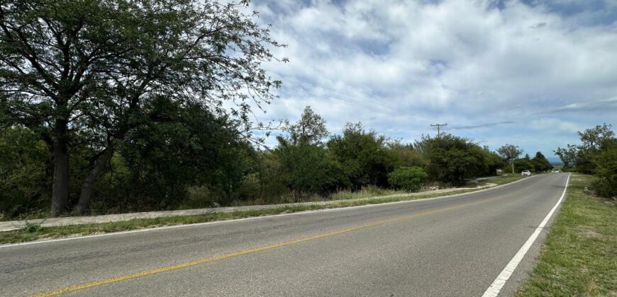 AMPLIO LOTE EN AV. LOS MANDARINOS