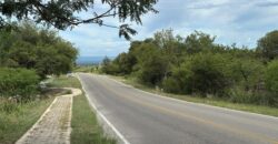 AMPLIO LOTE EN AV. LOS MANDARINOS
