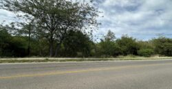 AMPLIO LOTE EN AV. LOS MANDARINOS