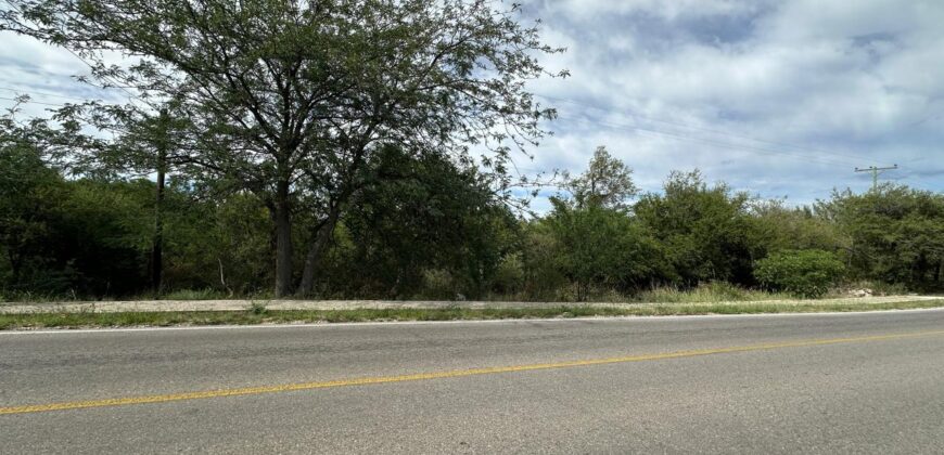 AMPLIO LOTE EN AV. LOS MANDARINOS