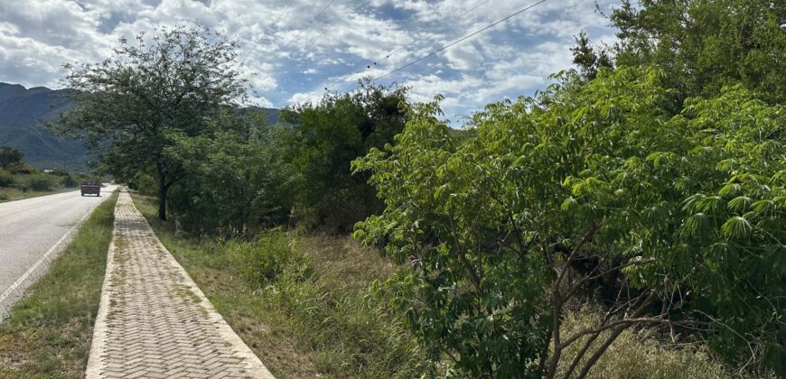 AMPLIO LOTE EN AV. LOS MANDARINOS