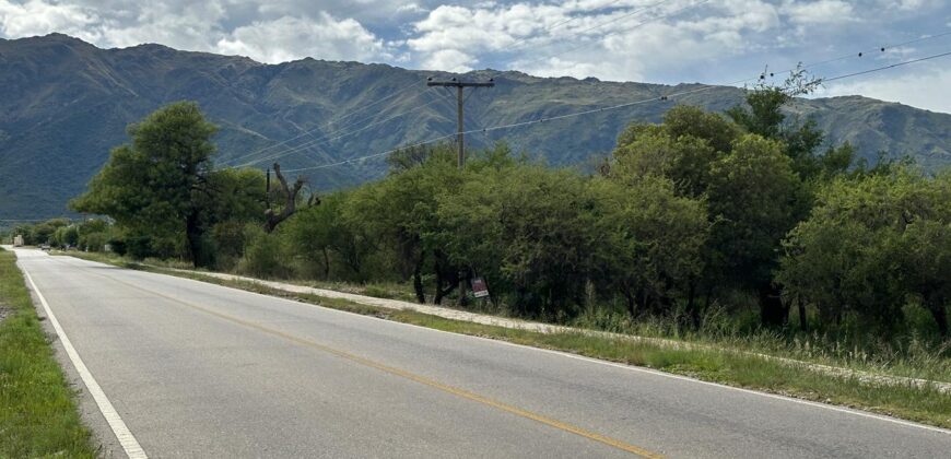 AMPLIO LOTE EN AV. LOS MANDARINOS
