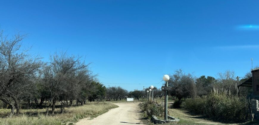 LOTE DE 500M CORTADERAS