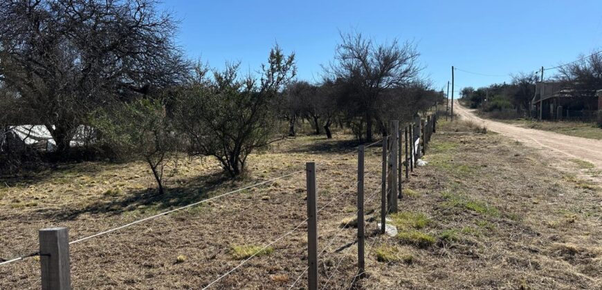 LOTE DE 500M CORTADERAS