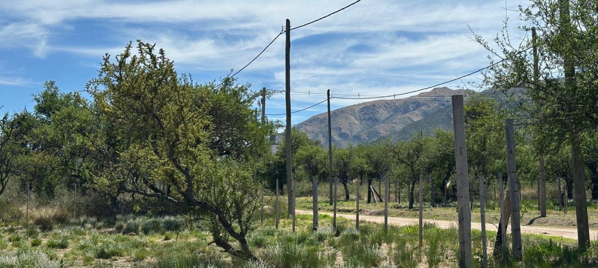 LOTEO EN CORTADERAS «LOMAS DEL PARAISO»