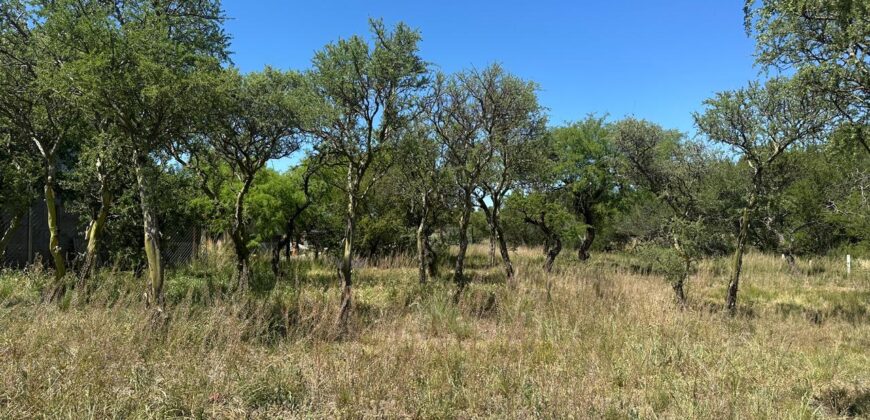 LOTE DE 999,8M² EN CORTADERAS