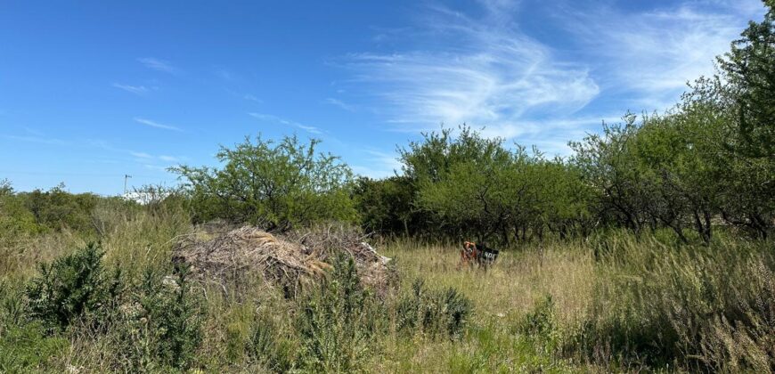 LOTE DE 999,8M² EN CORTADERAS