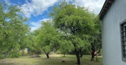 DOS CASAS EN LOTE DE 1.667M²