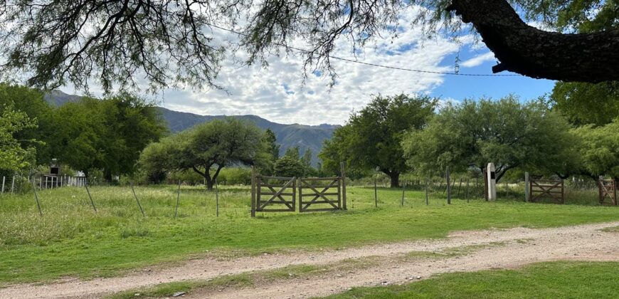 DOS CASAS EN LOTE DE 1.667M²