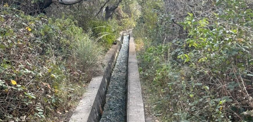 LA LOMA, LA QUEBRADA CORTADERAS
